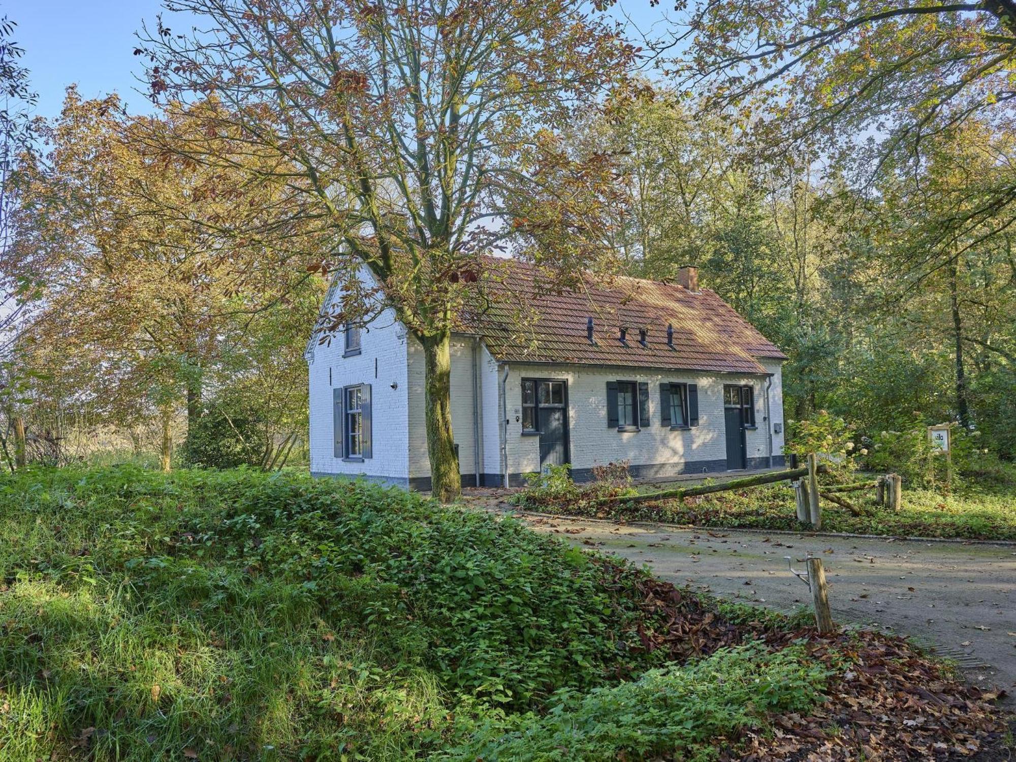 Vila Bosbeertje 45 Erp Exteriér fotografie
